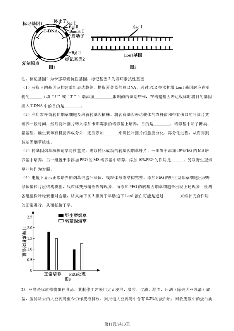 精品解析：重庆市巴蜀中学校2023-2024学年高二下学期7月期末考试生物试题（原卷版）_2024-2025高三（6-6月题库）_2024年07月试卷_240715重庆市巴蜀中学2023-2024学年高二下学期期末