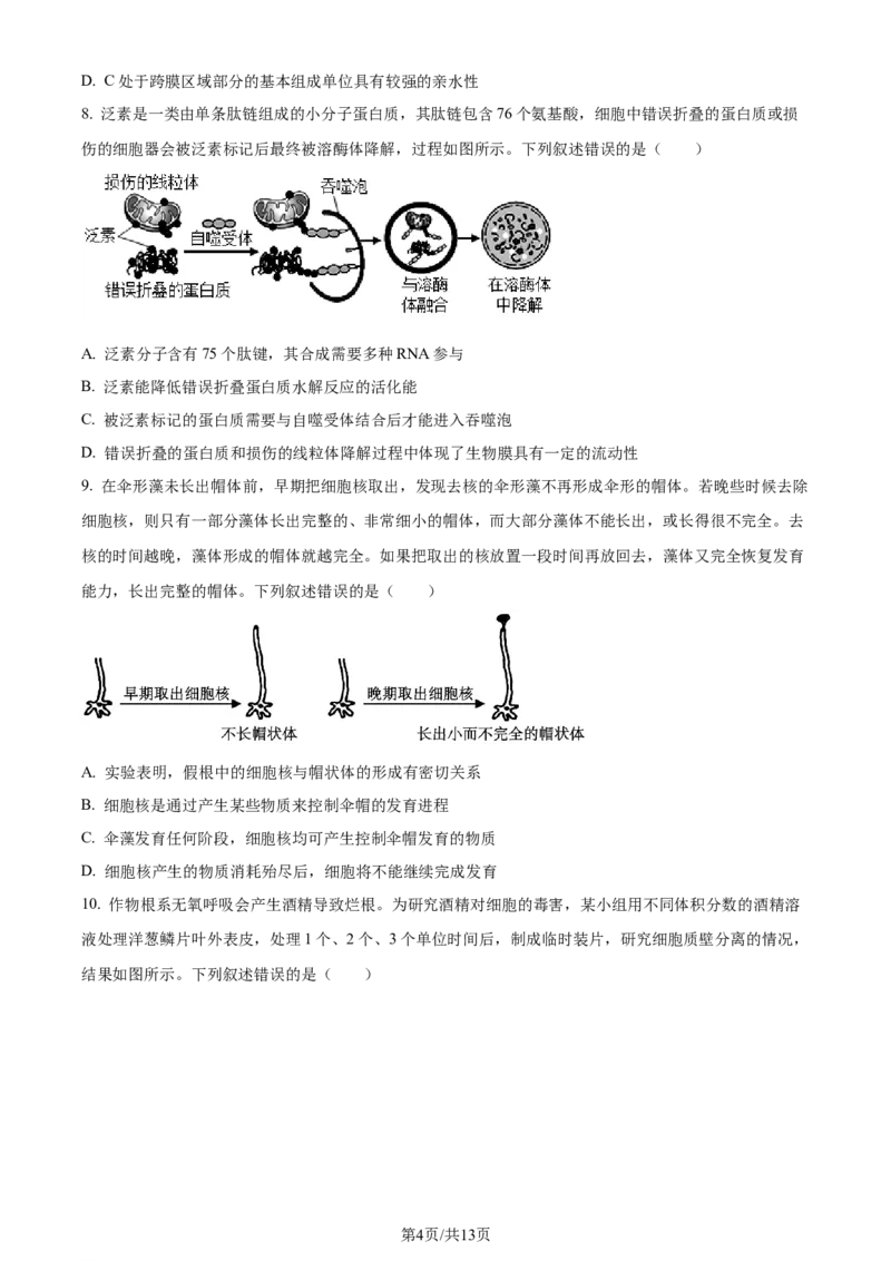 精品解析：重庆市巴蜀中学校2023-2024学年高二下学期7月期末考试生物试题（原卷版）_2024-2025高三（6-6月题库）_2024年07月试卷_240715重庆市巴蜀中学2023-2024学年高二下学期期末