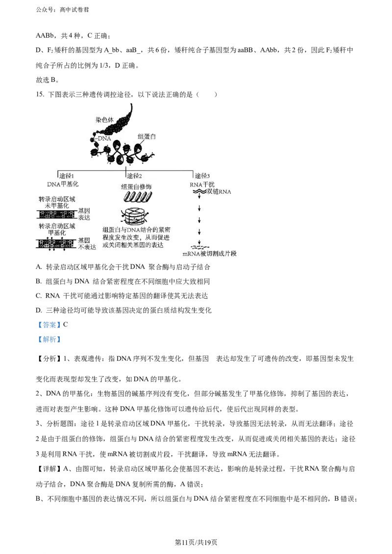 精品解析：广东省惠州市2023-2024学年高二下学期7月期末生物试题（解析版）_2024-2025高三（6-6月题库）_2024年07月试卷_2407102025届广东省惠州市高三第一次调研考试（惠州高二期末考）