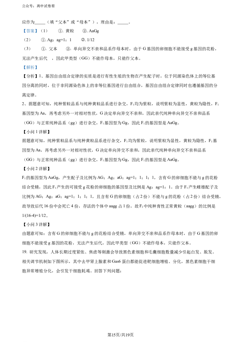 精品解析：广东省惠州市2023-2024学年高二下学期7月期末生物试题（解析版）_2024-2025高三（6-6月题库）_2024年07月试卷_2407102025届广东省惠州市高三第一次调研考试（惠州高二期末考）