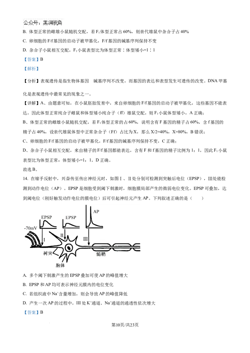 精品解析：湖北省武汉市东西湖区华中师范大学第一附属中学2024-2025学年高三上学期11月期中生物试题（解析版）_2024-2025高三（6-6月题库）_2024年11月试卷