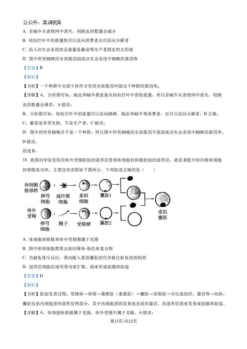 精品解析：湖北省武汉市东西湖区华中师范大学第一附属中学2024-2025学年高三上学期11月期中生物试题（解析版）_2024-2025高三（6-6月题库）_2024年11月试卷