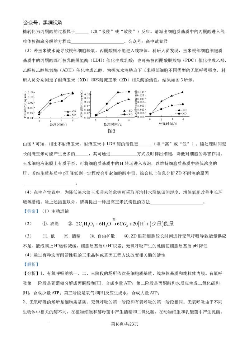 精品解析：湖北省武汉市东西湖区华中师范大学第一附属中学2024-2025学年高三上学期11月期中生物试题（解析版）_2024-2025高三（6-6月题库）_2024年11月试卷