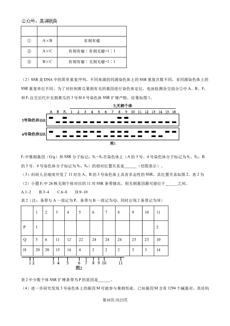 精品解析：湖北省武汉市东西湖区华中师范大学第一附属中学2024-2025学年高三上学期11月期中生物试题（解析版）_2024-2025高三（6-6月题库）_2024年11月试卷