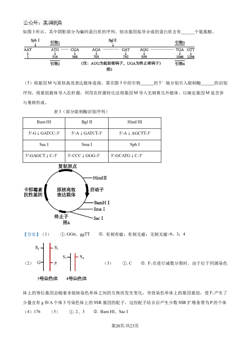 精品解析：湖北省武汉市东西湖区华中师范大学第一附属中学2024-2025学年高三上学期11月期中生物试题（解析版）_2024-2025高三（6-6月题库）_2024年11月试卷