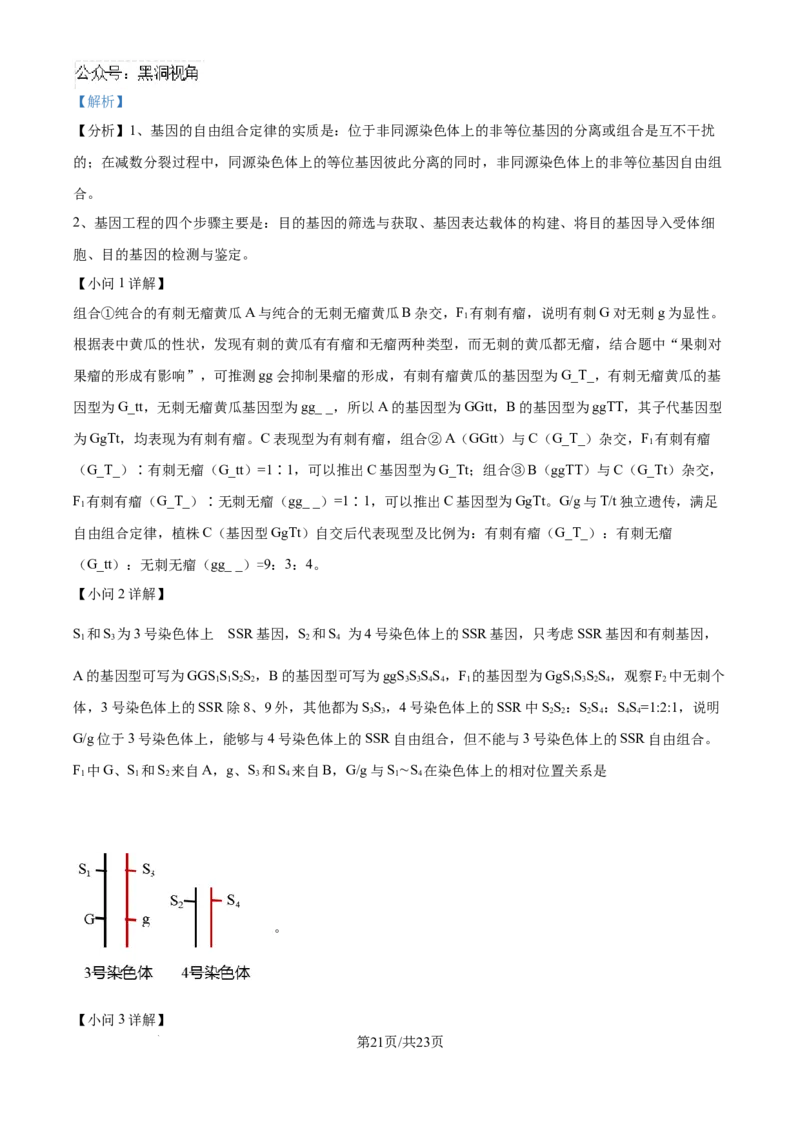 精品解析：湖北省武汉市东西湖区华中师范大学第一附属中学2024-2025学年高三上学期11月期中生物试题（解析版）_2024-2025高三（6-6月题库）_2024年11月试卷