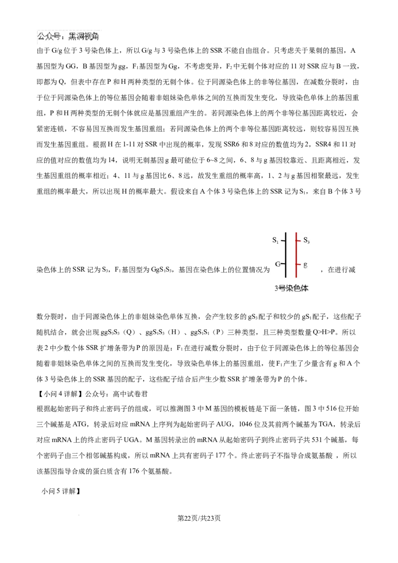精品解析：湖北省武汉市东西湖区华中师范大学第一附属中学2024-2025学年高三上学期11月期中生物试题（解析版）_2024-2025高三（6-6月题库）_2024年11月试卷