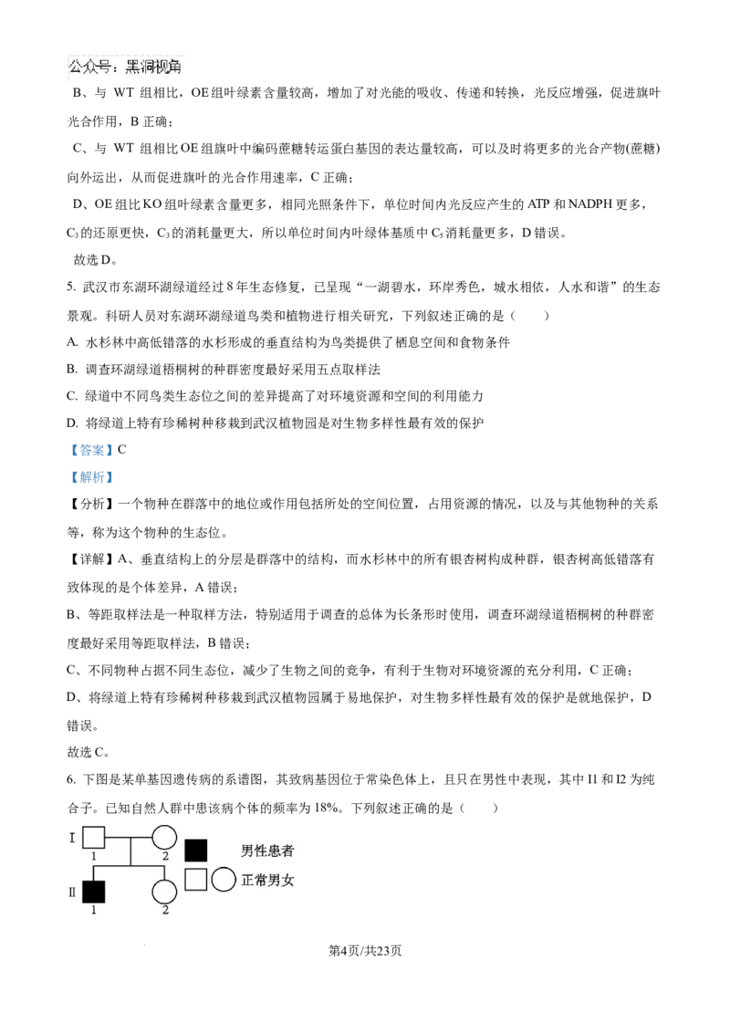 精品解析：湖北省武汉市东西湖区华中师范大学第一附属中学2024-2025学年高三上学期11月期中生物试题（解析版）_2024-2025高三（6-6月题库）_2024年11月试卷