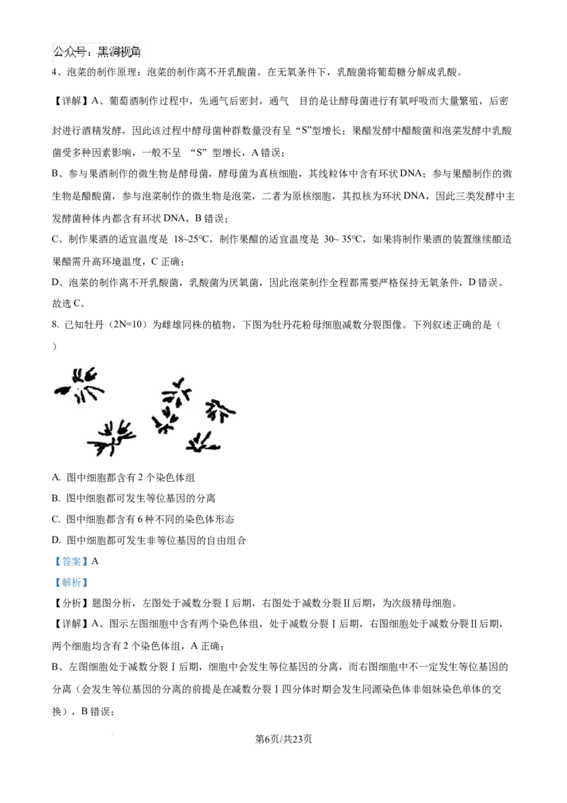 精品解析：湖北省武汉市东西湖区华中师范大学第一附属中学2024-2025学年高三上学期11月期中生物试题（解析版）_2024-2025高三（6-6月题库）_2024年11月试卷