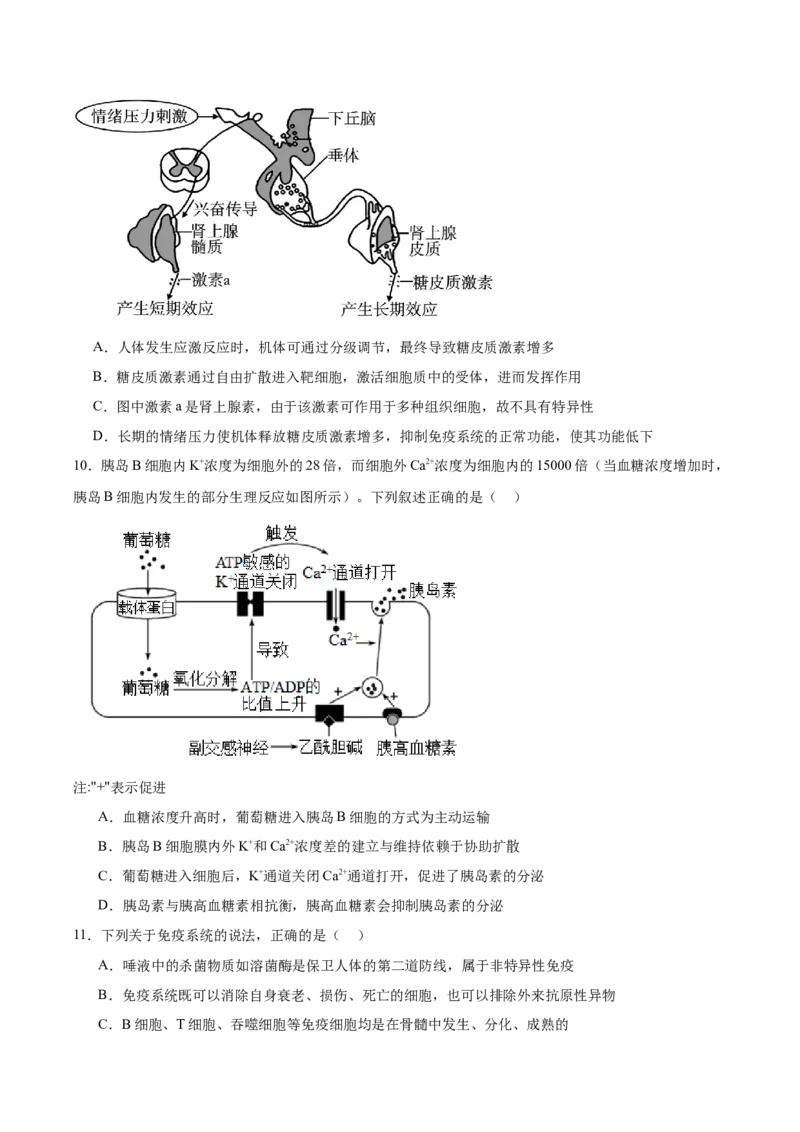 辽宁省大连市滨城高中联盟2025-2026学年高二上学期期中考试生物试卷（含答案）_251203辽宁省大连市滨城高中联盟2025-2026学年高二上学期期中考试
