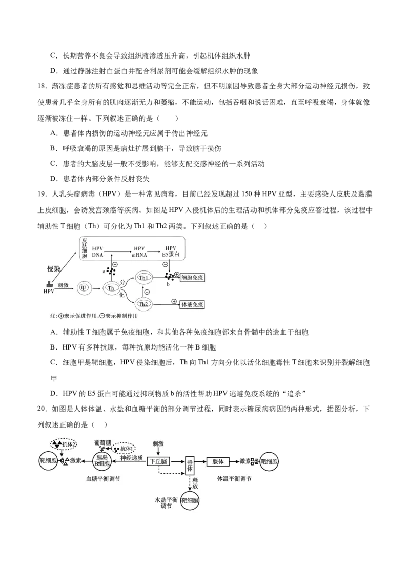辽宁省大连市滨城高中联盟2025-2026学年高二上学期期中考试生物试卷（含答案）_251203辽宁省大连市滨城高中联盟2025-2026学年高二上学期期中考试