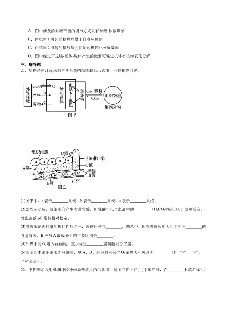 辽宁省大连市滨城高中联盟2025-2026学年高二上学期期中考试生物试卷（含答案）_251203辽宁省大连市滨城高中联盟2025-2026学年高二上学期期中考试