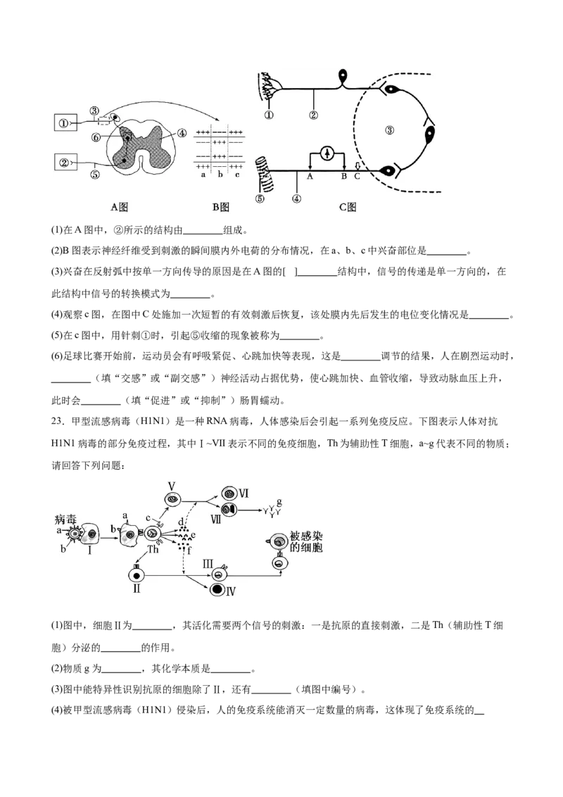 辽宁省大连市滨城高中联盟2025-2026学年高二上学期期中考试生物试卷（含答案）_251203辽宁省大连市滨城高中联盟2025-2026学年高二上学期期中考试