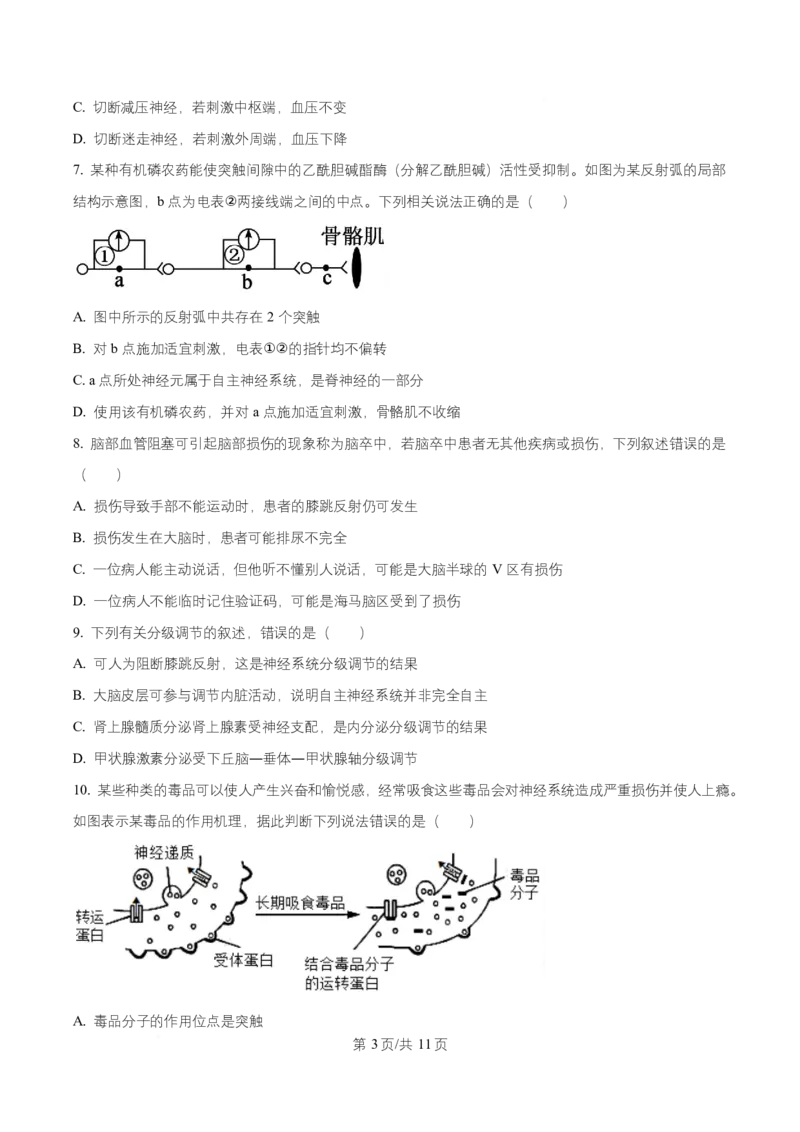 湖南省长沙市师大附中2025-2026学年高二上学期第1次月考生物试题（原卷版）_2025年11月高二试卷_251107湖南省长沙市师大附中2025-2026学年高二上学期10月第一次月考