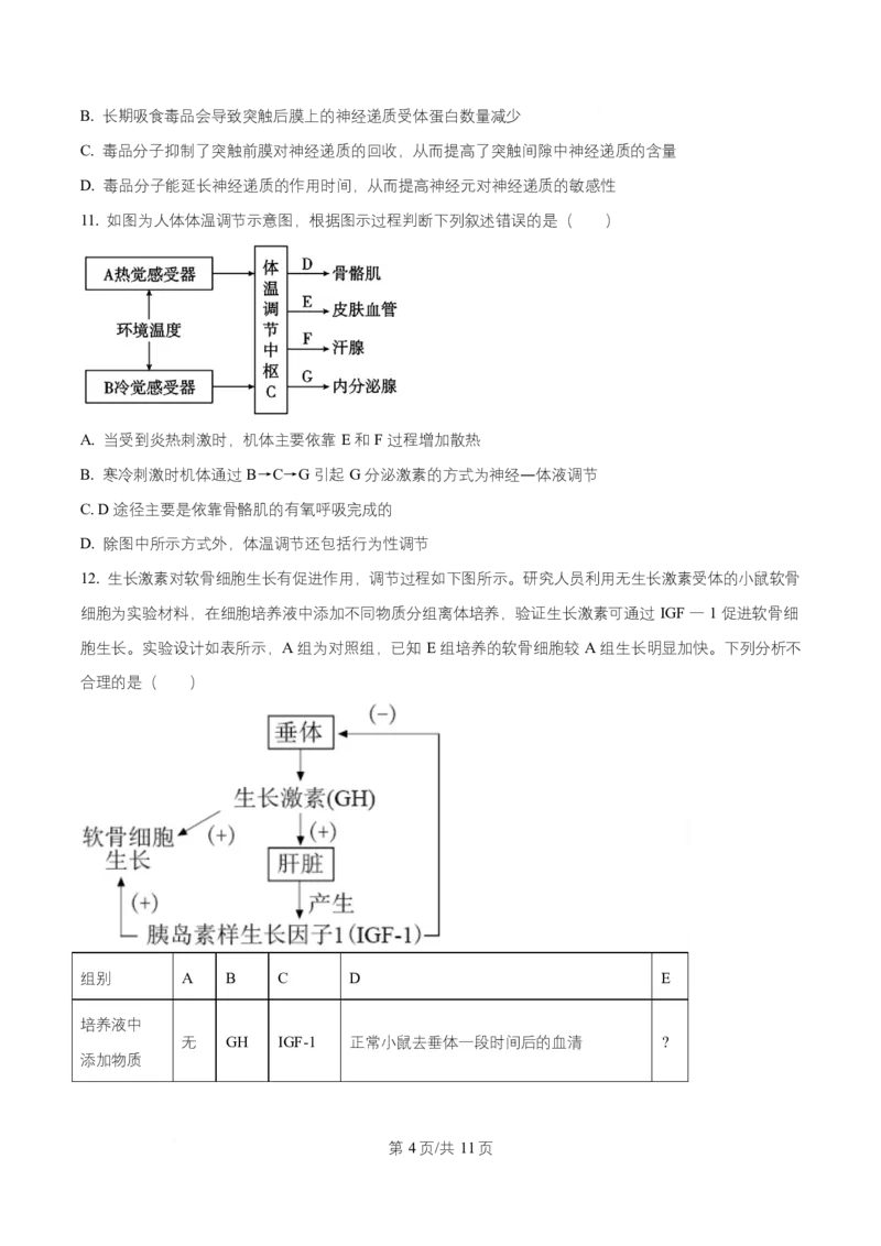 湖南省长沙市师大附中2025-2026学年高二上学期第1次月考生物试题（原卷版）_2025年11月高二试卷_251107湖南省长沙市师大附中2025-2026学年高二上学期10月第一次月考