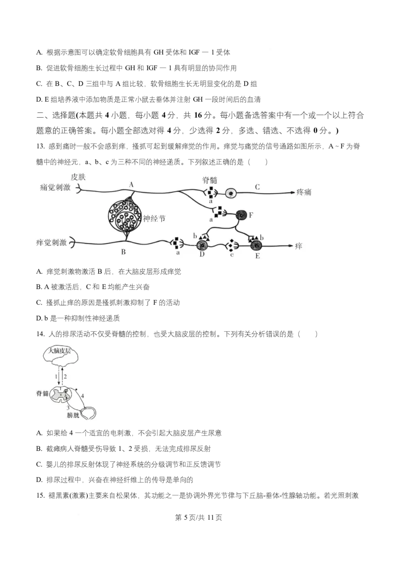 湖南省长沙市师大附中2025-2026学年高二上学期第1次月考生物试题（原卷版）_2025年11月高二试卷_251107湖南省长沙市师大附中2025-2026学年高二上学期10月第一次月考