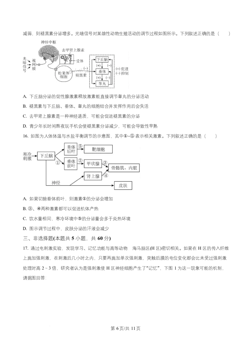 湖南省长沙市师大附中2025-2026学年高二上学期第1次月考生物试题（原卷版）_2025年11月高二试卷_251107湖南省长沙市师大附中2025-2026学年高二上学期10月第一次月考