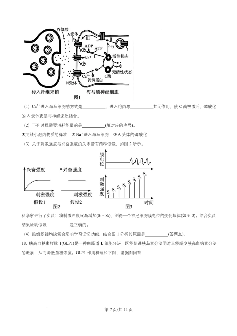 湖南省长沙市师大附中2025-2026学年高二上学期第1次月考生物试题（原卷版）_2025年11月高二试卷_251107湖南省长沙市师大附中2025-2026学年高二上学期10月第一次月考