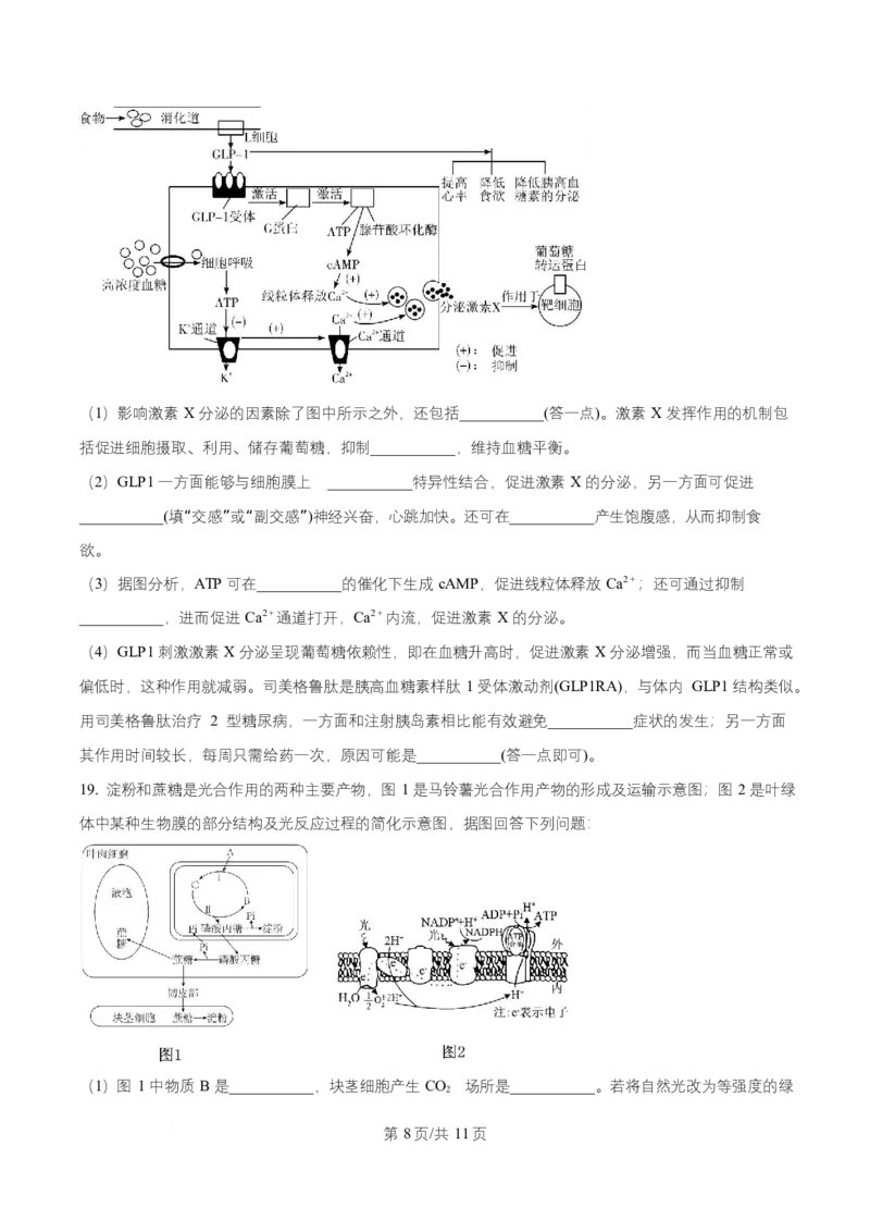 湖南省长沙市师大附中2025-2026学年高二上学期第1次月考生物试题（原卷版）_2025年11月高二试卷_251107湖南省长沙市师大附中2025-2026学年高二上学期10月第一次月考