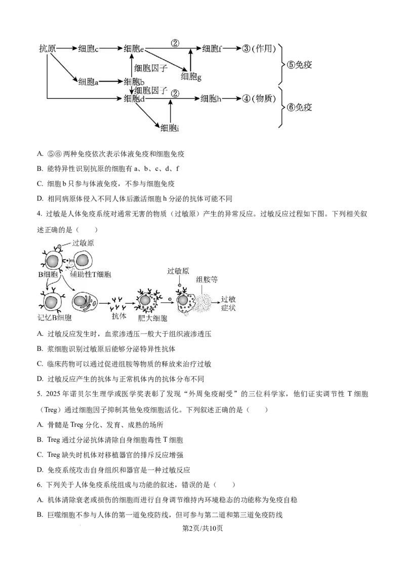 精品解析：天津市河北区天津市第二中学2025-2026学年高二上学期12月月考生物试题（原卷版）_2024-2025高二（7-7月题库）_2026年1月高二_260110天津市第二中学2025-2026学年高二上学期12月月考