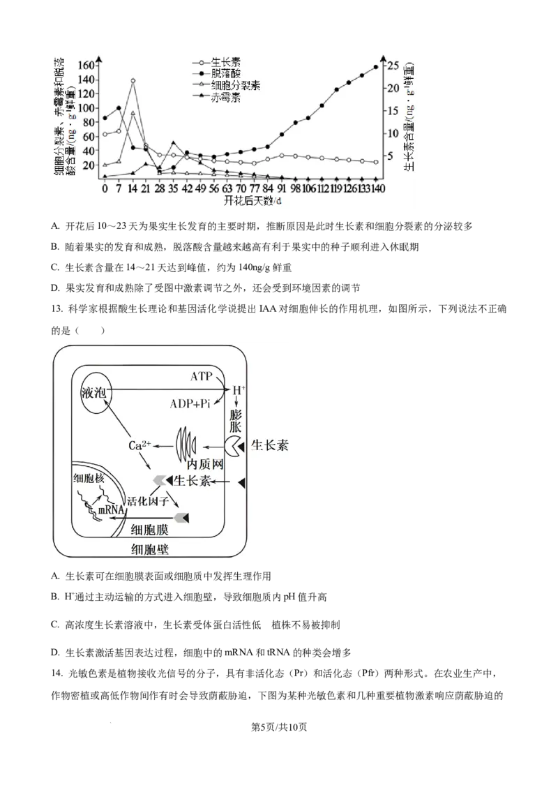 精品解析：天津市河北区天津市第二中学2025-2026学年高二上学期12月月考生物试题（原卷版）_2024-2025高二（7-7月题库）_2026年1月高二_260110天津市第二中学2025-2026学年高二上学期12月月考