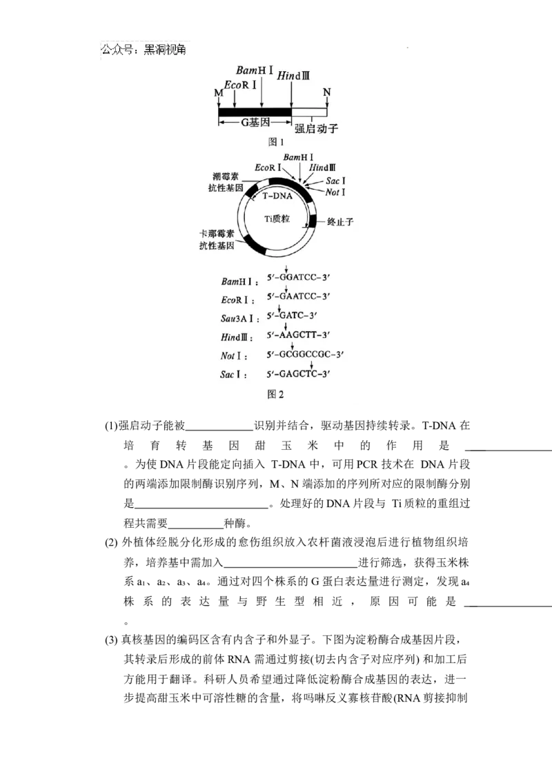 湖南省长郡中学2024-2025学年高三上学期第一次调研考试生物试题_2024-2025高三（6-6月题库）_2024年09月试卷_0921湖南省长郡中学2024-2025学年高三上学期第一次调研考试
