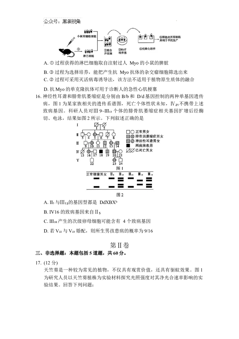湖南省长郡中学2024-2025学年高三上学期第一次调研考试生物试题_2024-2025高三（6-6月题库）_2024年09月试卷_0921湖南省长郡中学2024-2025学年高三上学期第一次调研考试