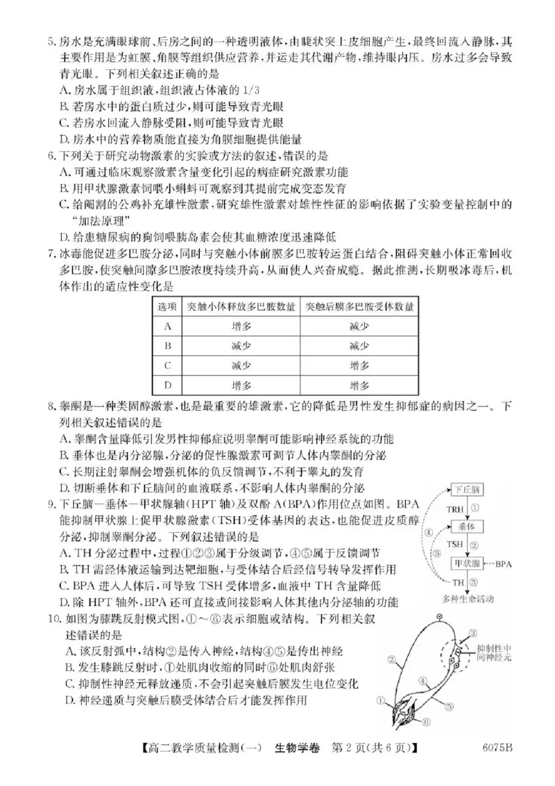 广东省八校联盟2025-2026学年高二上学期教学质量检测（一）生物试题含答案_2025年10月高二试卷_251028广东省八校联盟2025-2026学年高二上学期教学质量检测（一）（全）