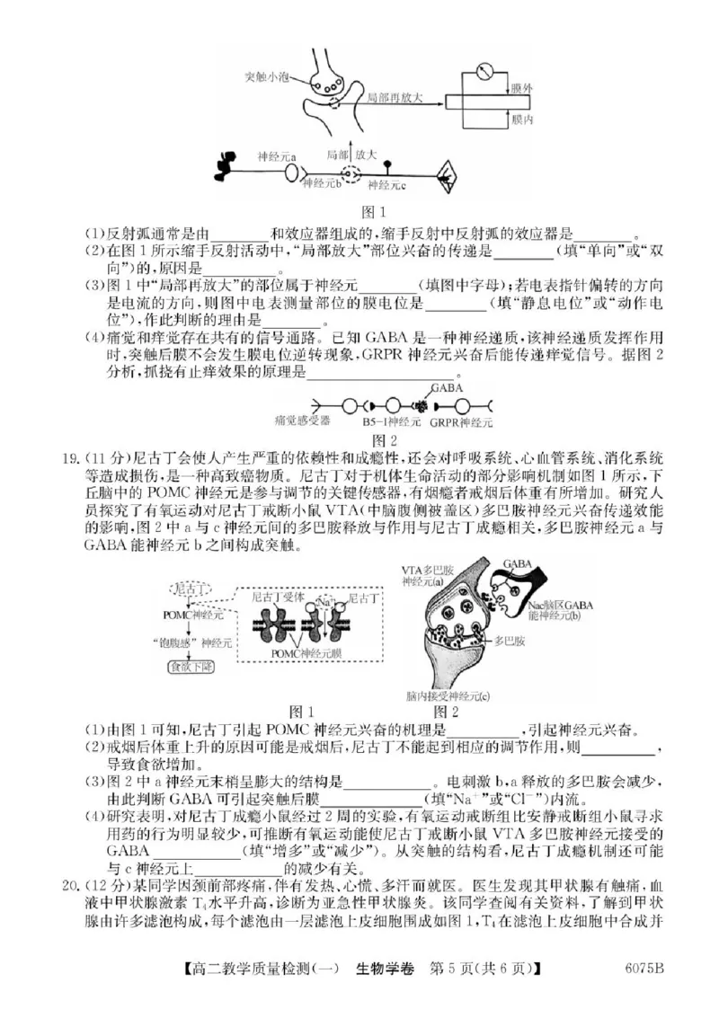 广东省八校联盟2025-2026学年高二上学期教学质量检测（一）生物试题含答案_2025年10月高二试卷_251028广东省八校联盟2025-2026学年高二上学期教学质量检测（一）（全）