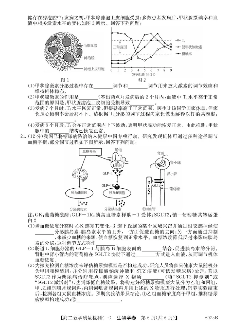 广东省八校联盟2025-2026学年高二上学期教学质量检测（一）生物试题含答案_2025年10月高二试卷_251028广东省八校联盟2025-2026学年高二上学期教学质量检测（一）（全）