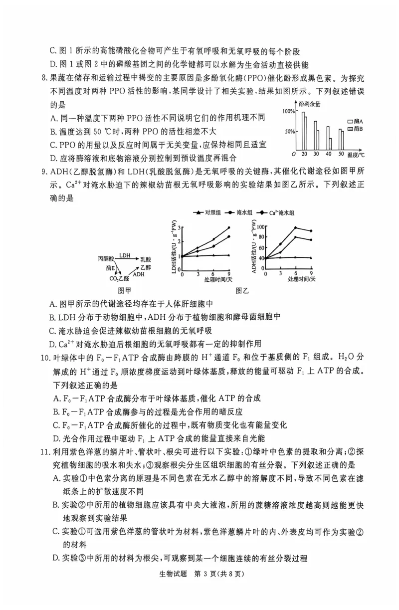 生物_2024-2025高三（6-6月题库）_2024年10月试卷_1010河南省青桐鸣2025届高三10月大联考_河南省青桐鸣2025届高三10月大联考生物试题