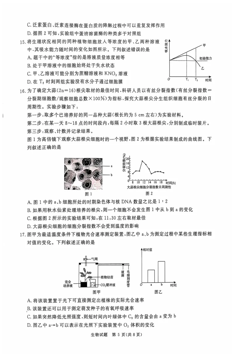 生物_2024-2025高三（6-6月题库）_2024年10月试卷_1010河南省青桐鸣2025届高三10月大联考_河南省青桐鸣2025届高三10月大联考生物试题