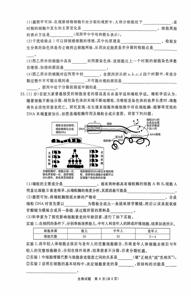 生物_2024-2025高三（6-6月题库）_2024年10月试卷_1010河南省青桐鸣2025届高三10月大联考_河南省青桐鸣2025届高三10月大联考生物试题