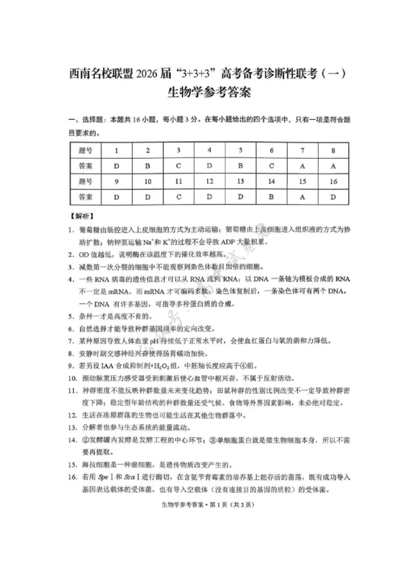 生物试卷答案-西南名校联盟2026届&ldquo;3+3+3&rdquo;高考备考诊断性联考（一）_2024-2026高三（6-6月题库）_2025年12月高三试卷_251225西南名校联盟2026届&ldquo;3+3+3&rdquo;高考备考诊断性联考（一）（全科）