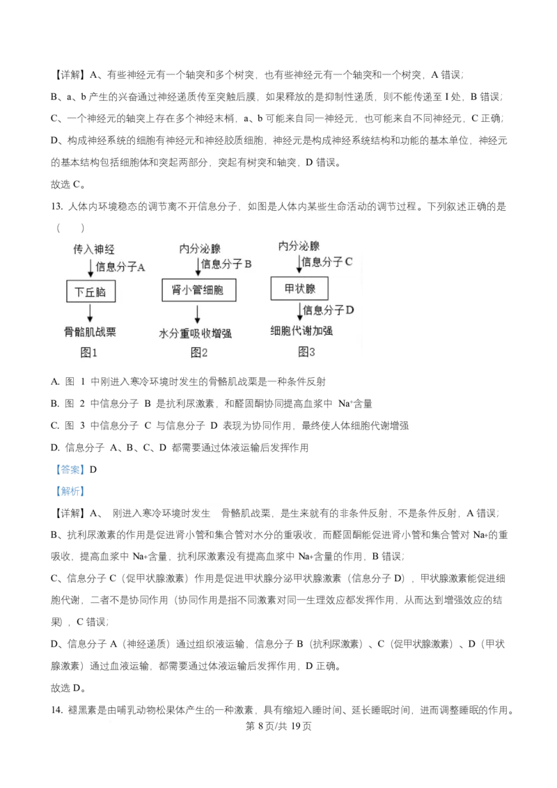 湖北省武汉市部分重点中学2025-2026学年高二上学期10月检测生物试卷Word版含解析_2025年10月高二试卷_251022湖北省武汉市部分重点中学2025-2026学年高二上学期10月月考试题