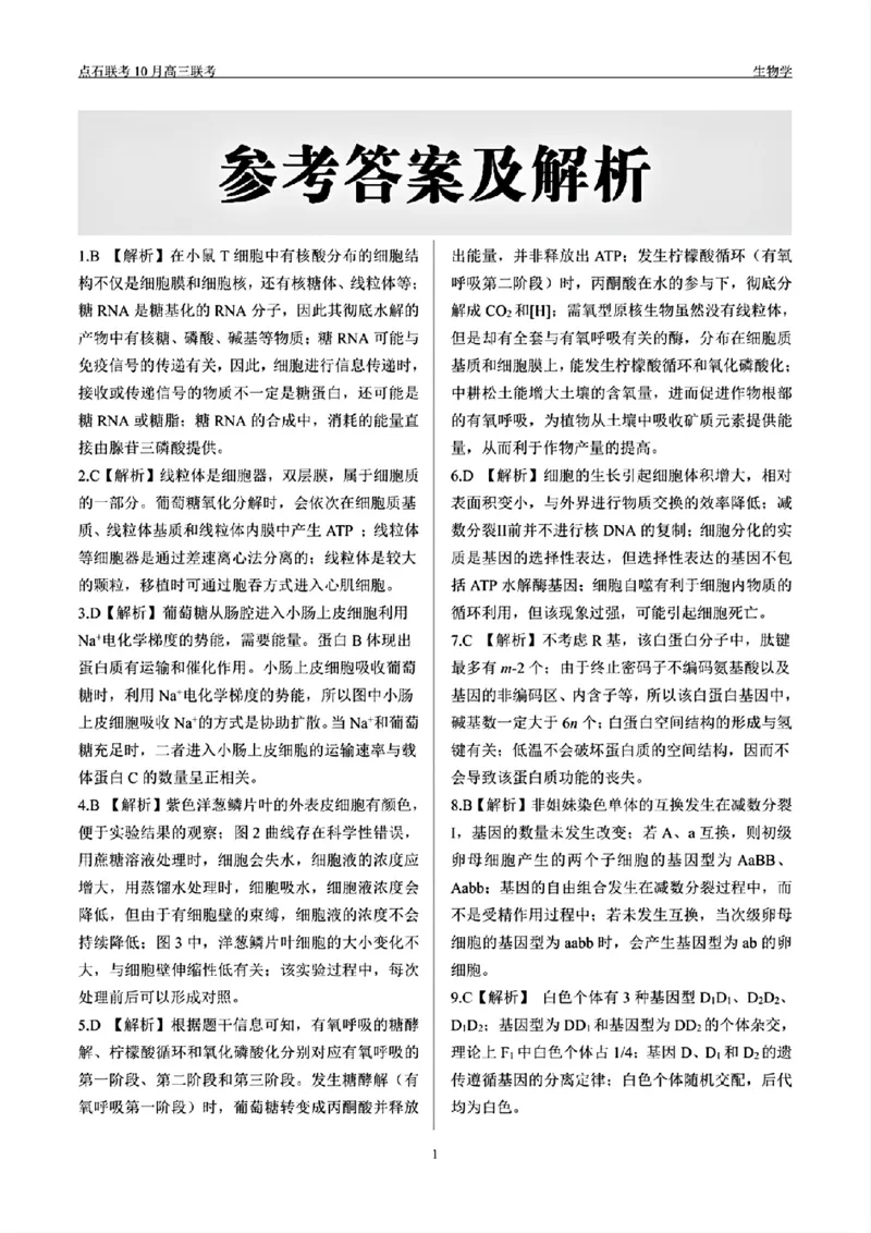 辽宁省点石联考2024-2025学年度上学期高三年级10月阶段考试生物试题答案_2024-2025高三（6-6月题库）_2024年10月试卷_1011辽宁省点石联考2024-2025学年度上学期高三年级10月阶段考试