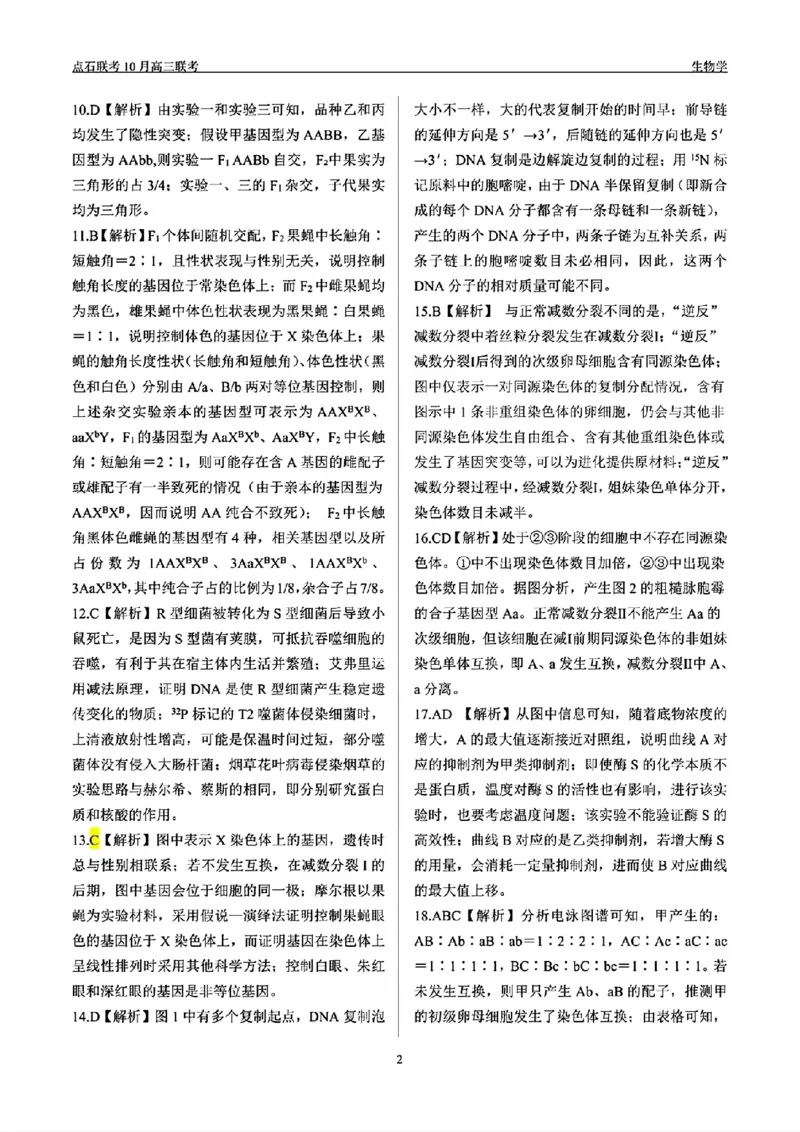 辽宁省点石联考2024-2025学年度上学期高三年级10月阶段考试生物试题答案_2024-2025高三（6-6月题库）_2024年10月试卷_1011辽宁省点石联考2024-2025学年度上学期高三年级10月阶段考试