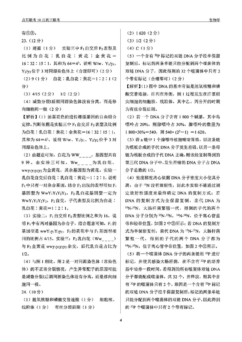 辽宁省点石联考2024-2025学年度上学期高三年级10月阶段考试生物试题答案_2024-2025高三（6-6月题库）_2024年10月试卷_1011辽宁省点石联考2024-2025学年度上学期高三年级10月阶段考试