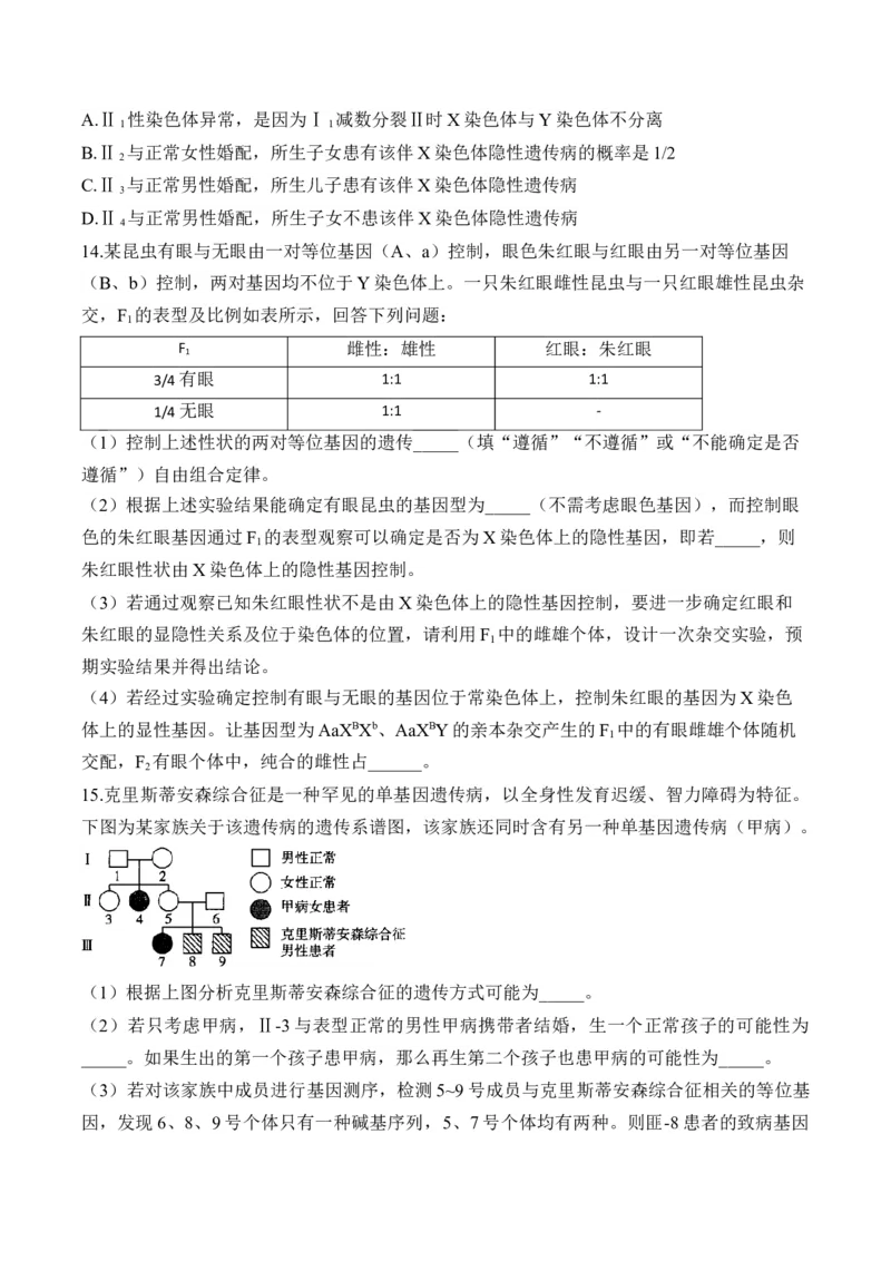 （12）伴性遗传和人类遗传病&mdash;&mdash;高考生物二轮复习易错重难提升（含解析）_2024-2025高三（6-6月题库）_2026年1月高三_260104高考生物二轮复习易错重难提升（含解析）