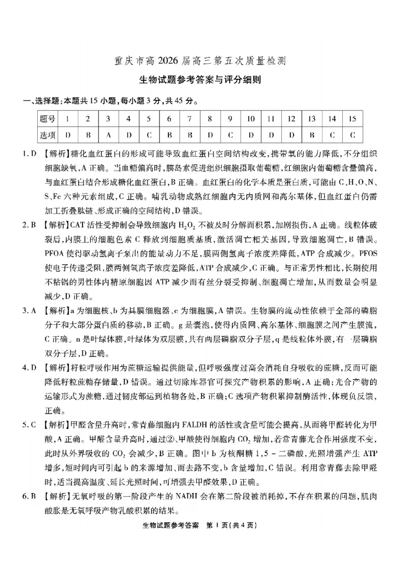 重庆市南开中学高2026届高三第五次质量检测生物答案_2024-2026高三（6-6月题库）_2026年01月高三试卷_0105重庆市南开中学高2026届高三第五次质量检测（全）