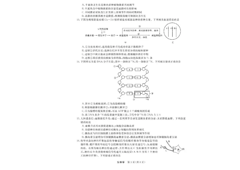 浙江省强基联盟2025-2026学年高二上学期11月期中生物试题（A卷）含答案_2025年11月高二试卷_251128浙江省强基联盟2025-2026学年高二上学期11月期中