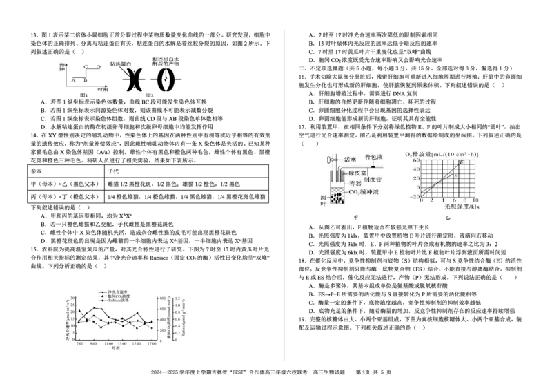 生物_2024-2025高三（6-6月题库）_2024年12月试卷_1204吉林省&ldquo;BEST&rdquo;合作体六校2024-2025学年高三上学期第三次联考_吉林省&ldquo;BEST&rdquo;合作体六校2024-2025学年高三上学期第三次联考生物