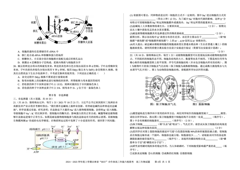 生物_2024-2025高三（6-6月题库）_2024年12月试卷_1204吉林省&ldquo;BEST&rdquo;合作体六校2024-2025学年高三上学期第三次联考_吉林省&ldquo;BEST&rdquo;合作体六校2024-2025学年高三上学期第三次联考生物
