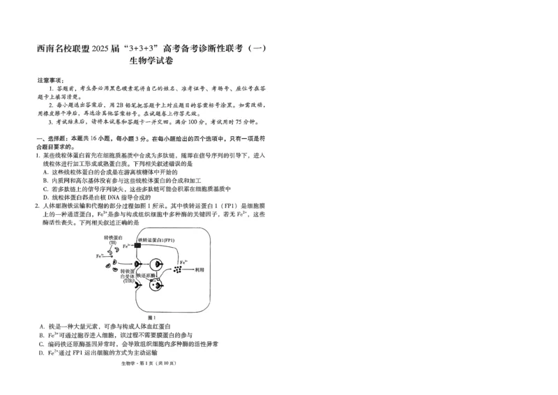 贵州省部分学校联考2024-2025学年高三上学期12月月考生物试题_2024-2025高三（6-6月题库）_2024年12月试卷_12202025届西南名校联盟高三3+3+3高考备考诊断性联考（一）