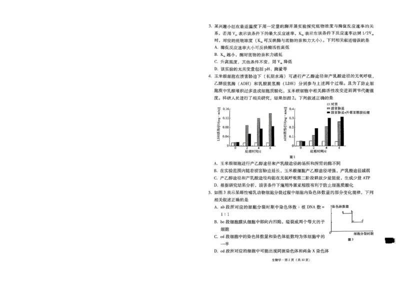 贵州省部分学校联考2024-2025学年高三上学期12月月考生物试题_2024-2025高三（6-6月题库）_2024年12月试卷_12202025届西南名校联盟高三3+3+3高考备考诊断性联考（一）