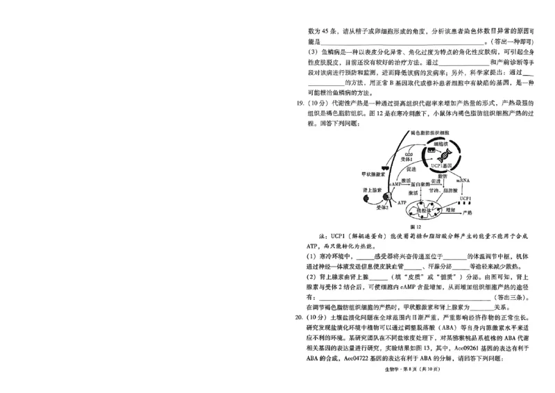 贵州省部分学校联考2024-2025学年高三上学期12月月考生物试题_2024-2025高三（6-6月题库）_2024年12月试卷_12202025届西南名校联盟高三3+3+3高考备考诊断性联考（一）