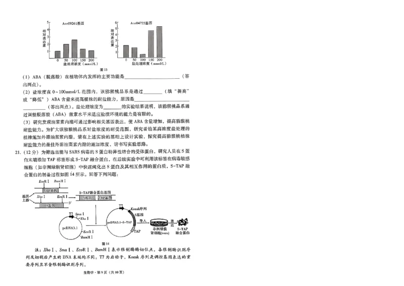 贵州省部分学校联考2024-2025学年高三上学期12月月考生物试题_2024-2025高三（6-6月题库）_2024年12月试卷_12202025届西南名校联盟高三3+3+3高考备考诊断性联考（一）