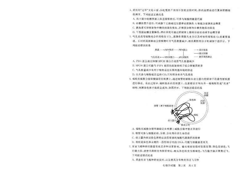 T8联考2026届高三年级12月检测训练生物(湖北)_2024-2026高三（6-6月题库）_2025年12月高三试卷_2512252026届高三第一次学业质量评价联考（T8八省联考）（全科）_选科[湖北专版]（全）