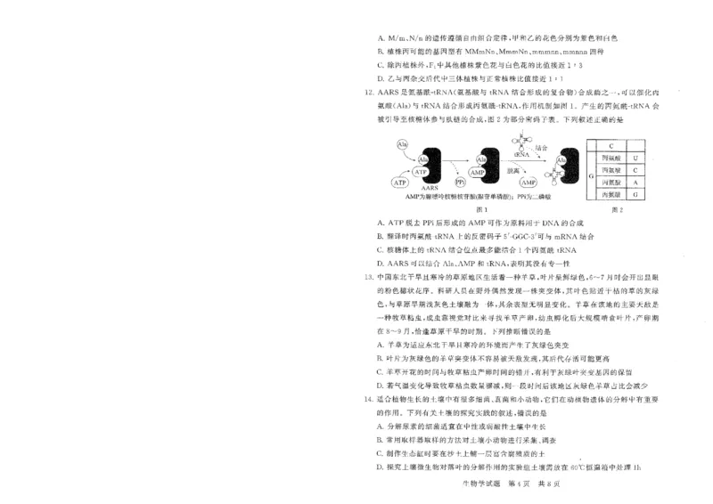 T8联考2026届高三年级12月检测训练生物(湖北)_2024-2026高三（6-6月题库）_2025年12月高三试卷_2512252026届高三第一次学业质量评价联考（T8八省联考）（全科）_选科[湖北专版]（全）