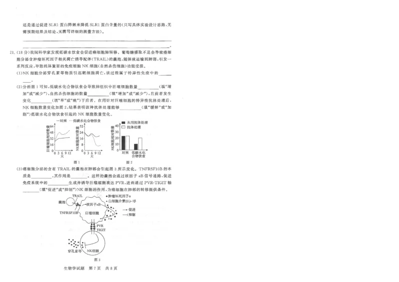T8联考2026届高三年级12月检测训练生物(湖北)_2024-2026高三（6-6月题库）_2025年12月高三试卷_2512252026届高三第一次学业质量评价联考（T8八省联考）（全科）_选科[湖北专版]（全）